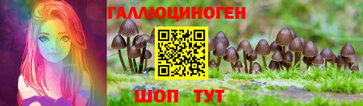 Псилоцибиновые грибы GOLDEN TEACHER  Вход с VPN  Воронеж 